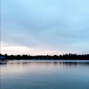 Meet your Posher, Lily